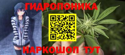 СК Чапаевск