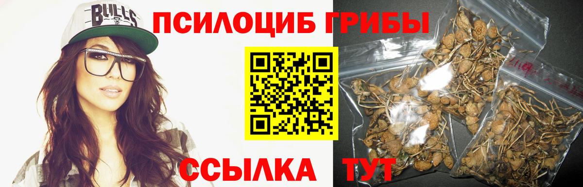 Псилоцибиновые грибы прущие грибы Волжский